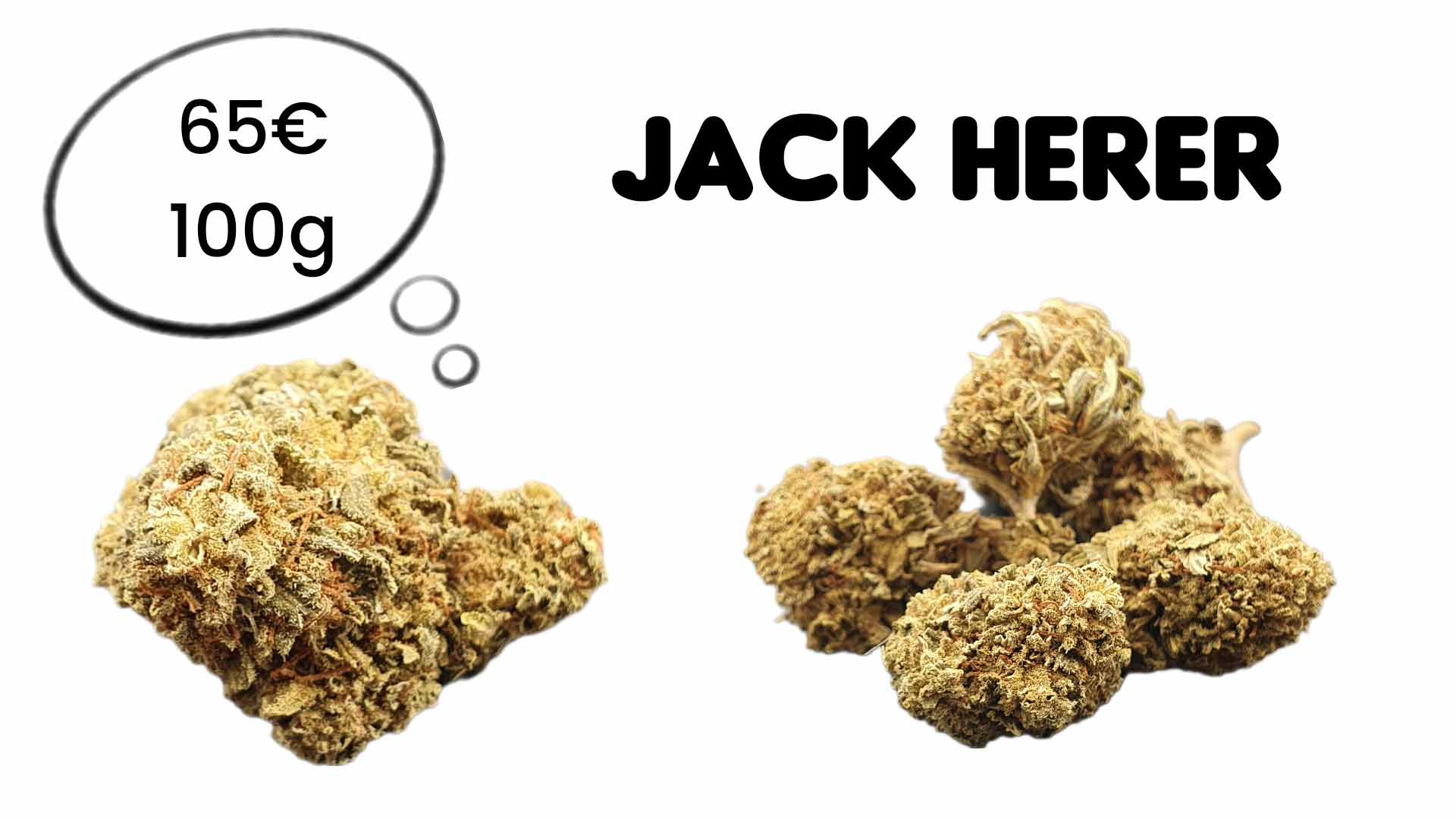La jack herer est une fleur CBD pas chère 65€ les 100g chez GreenForestCbd®. Dans cet article, nous vous parlons de son bienfait médical.