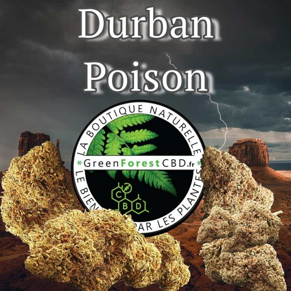 Fleur Durban Poison FLeur CBD pas cher au meilleur prix