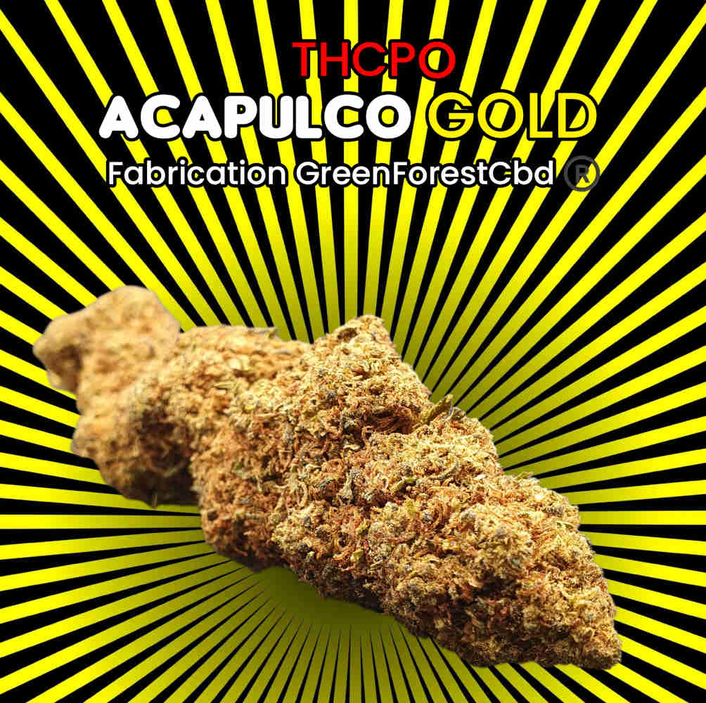 Découvrez la weed Acapulco Gold THCPO, une interprétation moderne d'une souche légendaire, transformée par Green Forest Cbd®. Cette fleur CBD, enrichie en THCPO, offre une expérience unique en son genre.