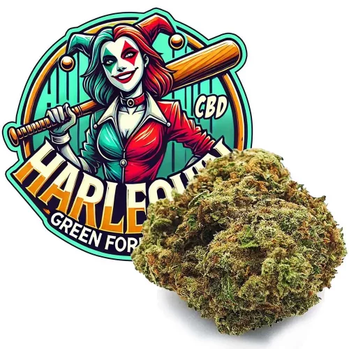 Fleur de CBD, Harlequin CBD avec son Logo, vendu par GreenforestCBD