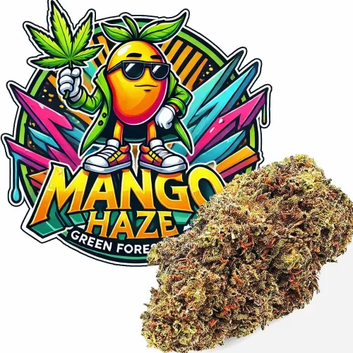 Fleur de CBD, Mango Haze CBD avec son Logo, vendu par GreenforestCBD