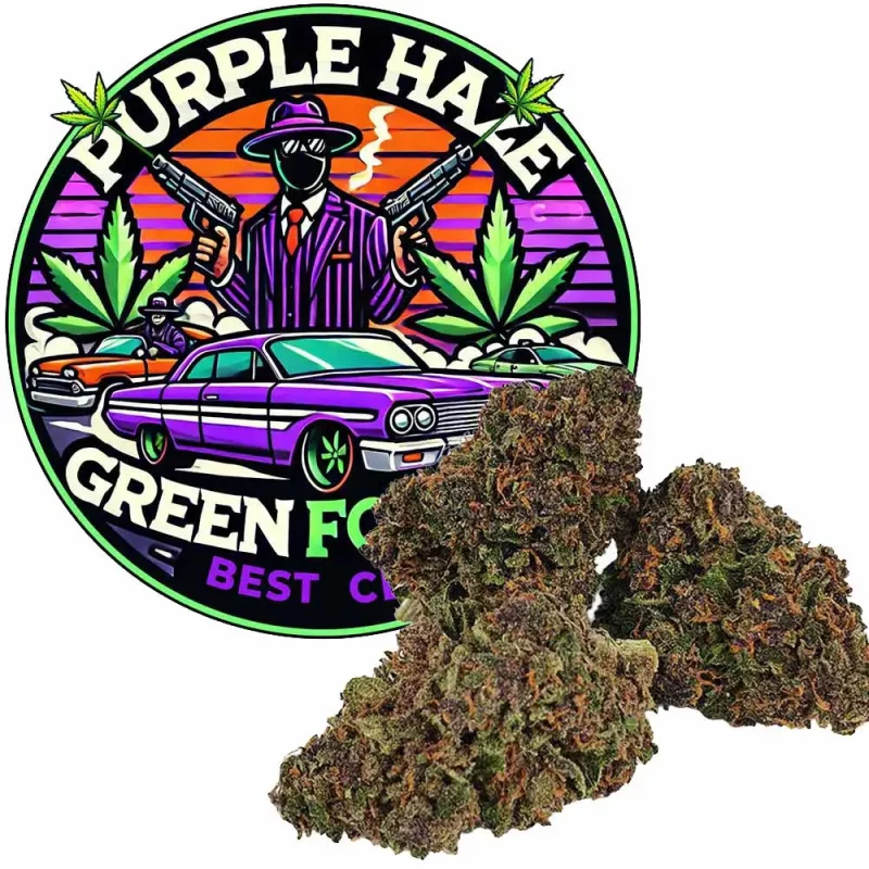 Fleur de CBD, Purple Haze CBD avec son Logo, vendu par GreenforestCBD