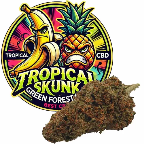 Fleur de CBD, Tropical Skunk CBD avec son Logo, vendu par GreenforestCBD