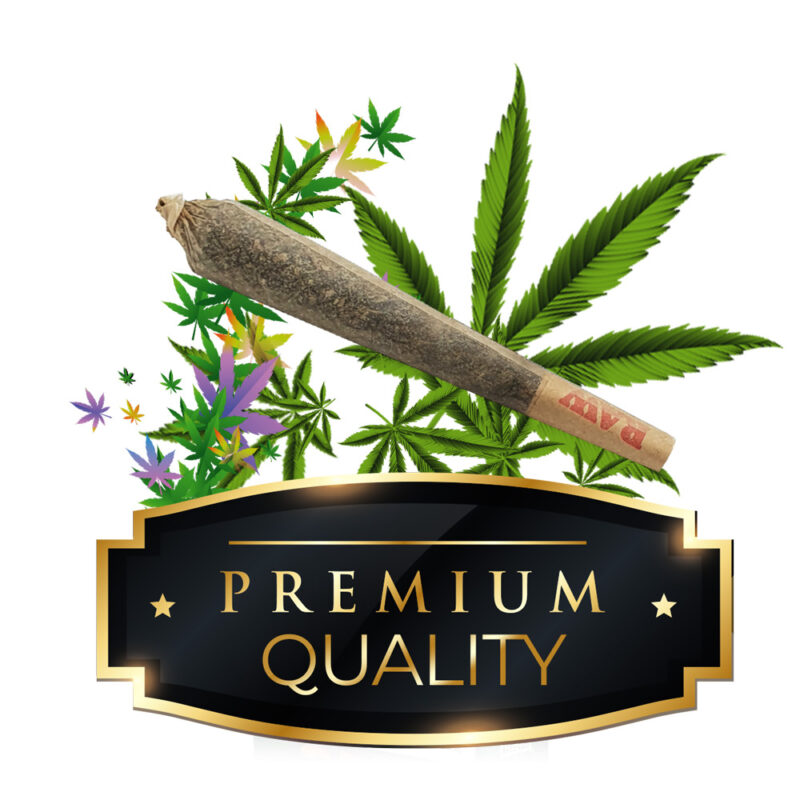 Pré-roulé CBD Qualité Premium , 100% Fleurs de CBD, sans Tabac, au meilleur prix, par Greenforestcbd.fr
