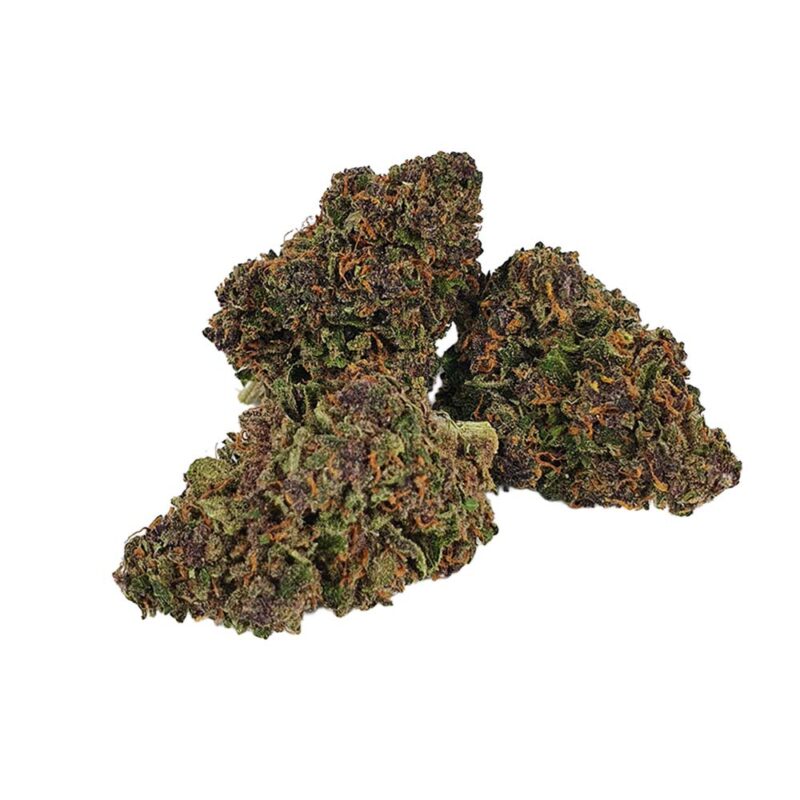 Purple Haze CBD, Fleur de CBD au meilleur prix sur la boutique GreenForestCBD.fr