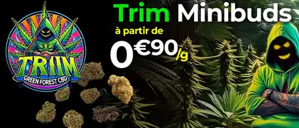 Cbd pas cher Trim Mini buds à partir de 0€90/g chez GreenForestCbd.fr