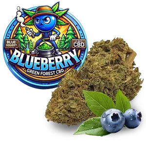 Fleur CBD blueberry Kush, une fleur fruitée aux arômes prononcés