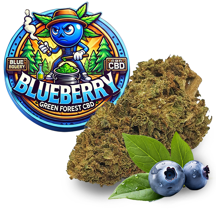 Fleur CBD blueberry Kush, une fleur fruitée aux arômes prononcés