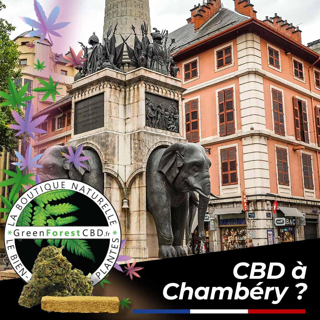CBD à Chambéry ? Découvrez la boutique en ligne Greenforestcbd. Située à Albertville notre shop livre Chambéry en 48h max