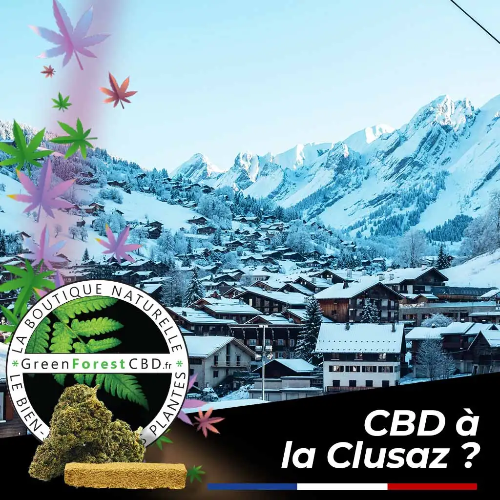 Acheter CBD à La Clusaz ? Découvrez GreenforestCBD.fr, situé à Albertville nous livrons en 48h chrono